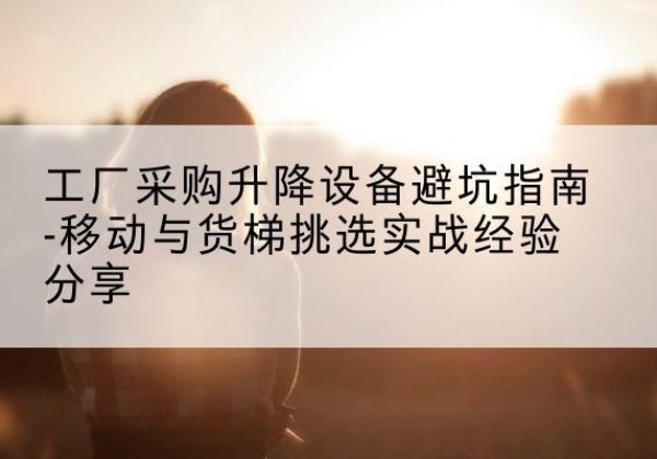 砀山移动式升降机怎么选-工厂采购升降设备避坑指南-移动与货梯挑选实战经验分享