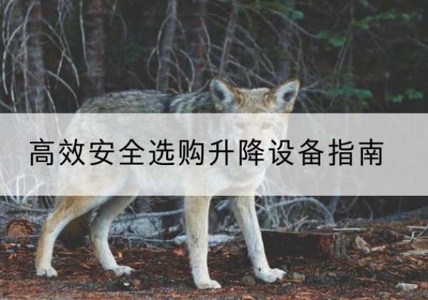 砀山升降货梯厂家推荐-*安全选购升降设备指南