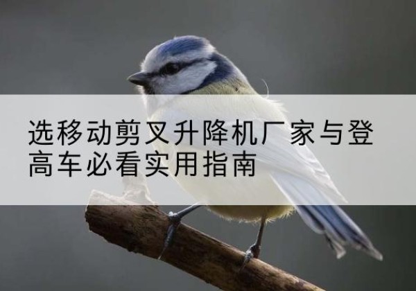 砀山电动升降机厂家-选移动剪叉升降机厂家与登高车必看实用指南